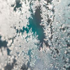 A photo showing frost on a pane of glass.