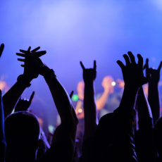 Silhouette of hands in the air at a concert 