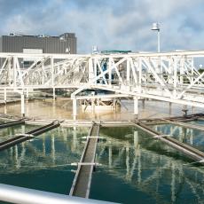 WTP4 Clarifier