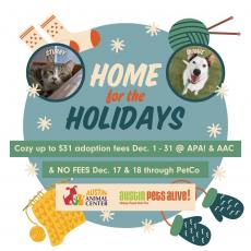 Home for the Holidays promo