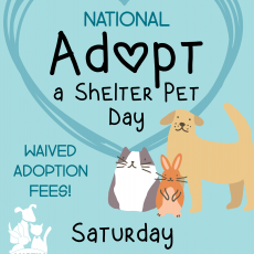 National Adopt a Shelter Pet Day flyer