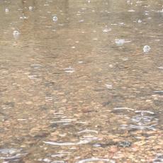 photo of large puddle with rain drops falling