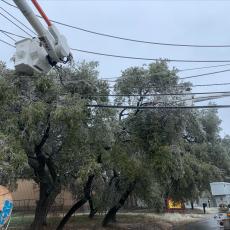 Utility crews tackle icy tree