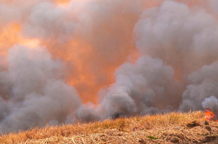 Image of wildfire burning dry grass with large amount of smoke