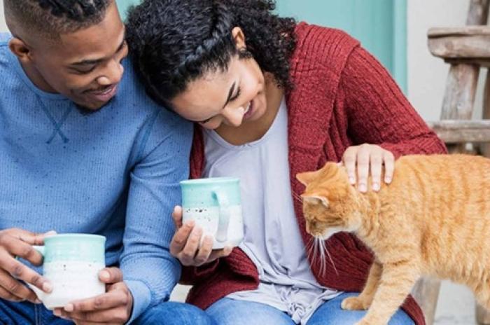 A man and a woman sit next to each other while the woman pets an orange cat.