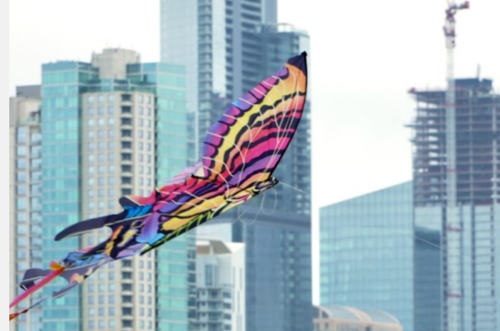 Get to Know Your Commission! Visit austintexas.gov/communityvoices; Office of Equity and Inclusion logo [image of downtown buildings and a butterfly kite flying in the foreground]