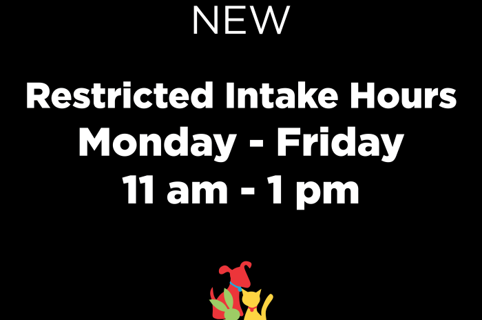 Restricted Intake Hours promo image