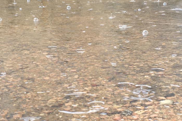 photo of large puddle with rain drops falling