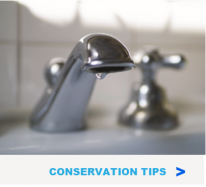 Save water with these conservation tips