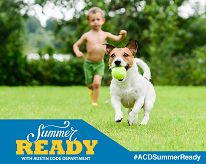 young child in blue shorts outdoors running after a small white dog holding a tennis ball in its mouth on a nice summer day 