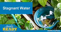 image of a bucket full of stagnant water with the words "stagnant water" and the Summer Ready logo