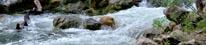 photo of water rushing down creek