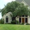 Southern Live Oak  Quercus virginiana 