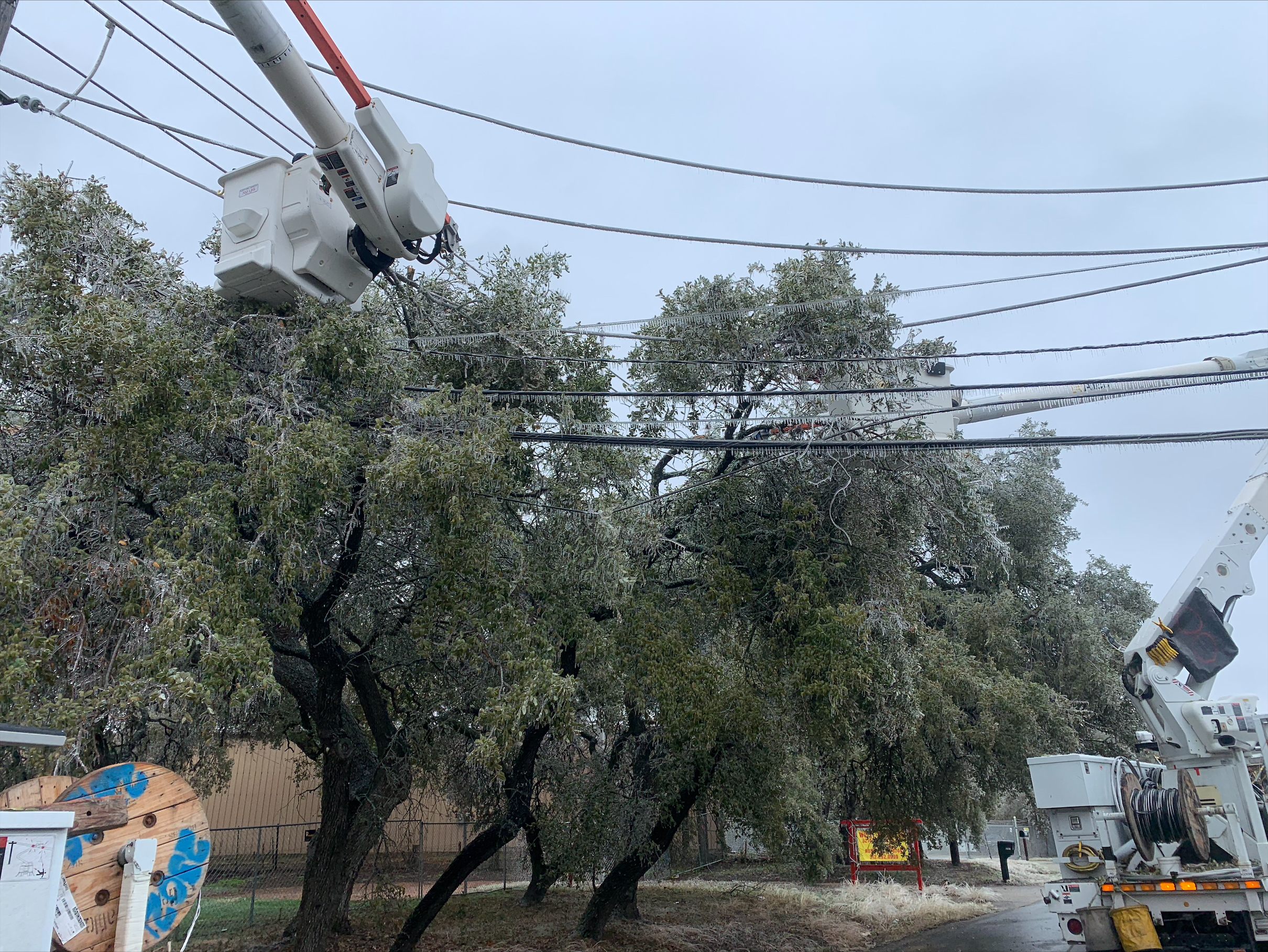Utility crews tackle icy tree